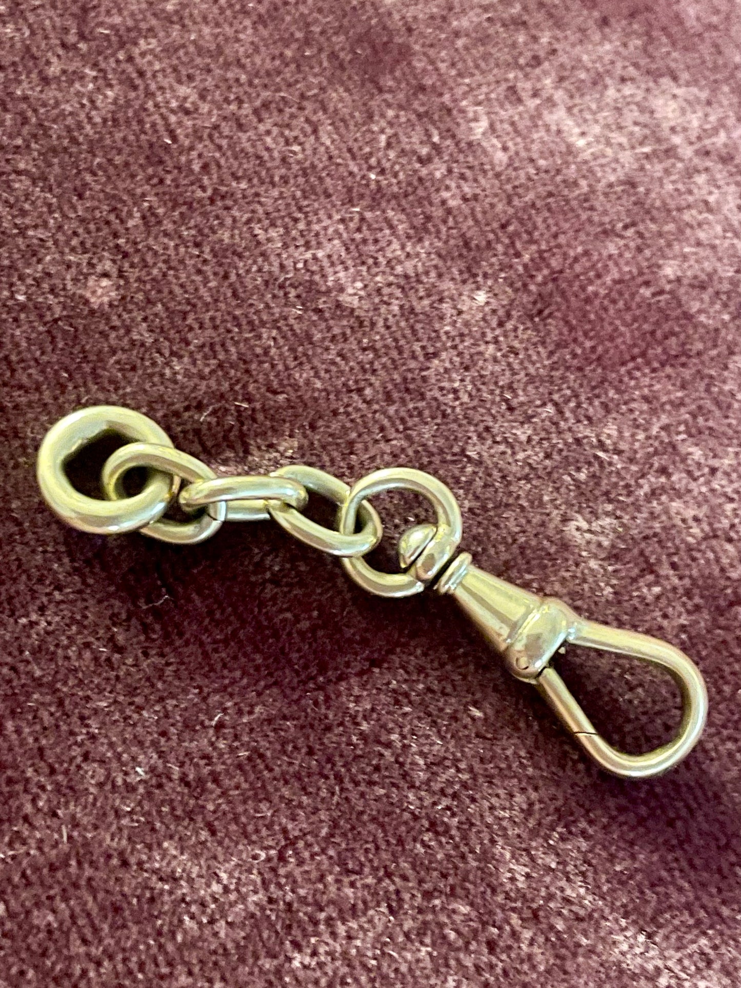 14k Gold Mini Dog Clip With Links